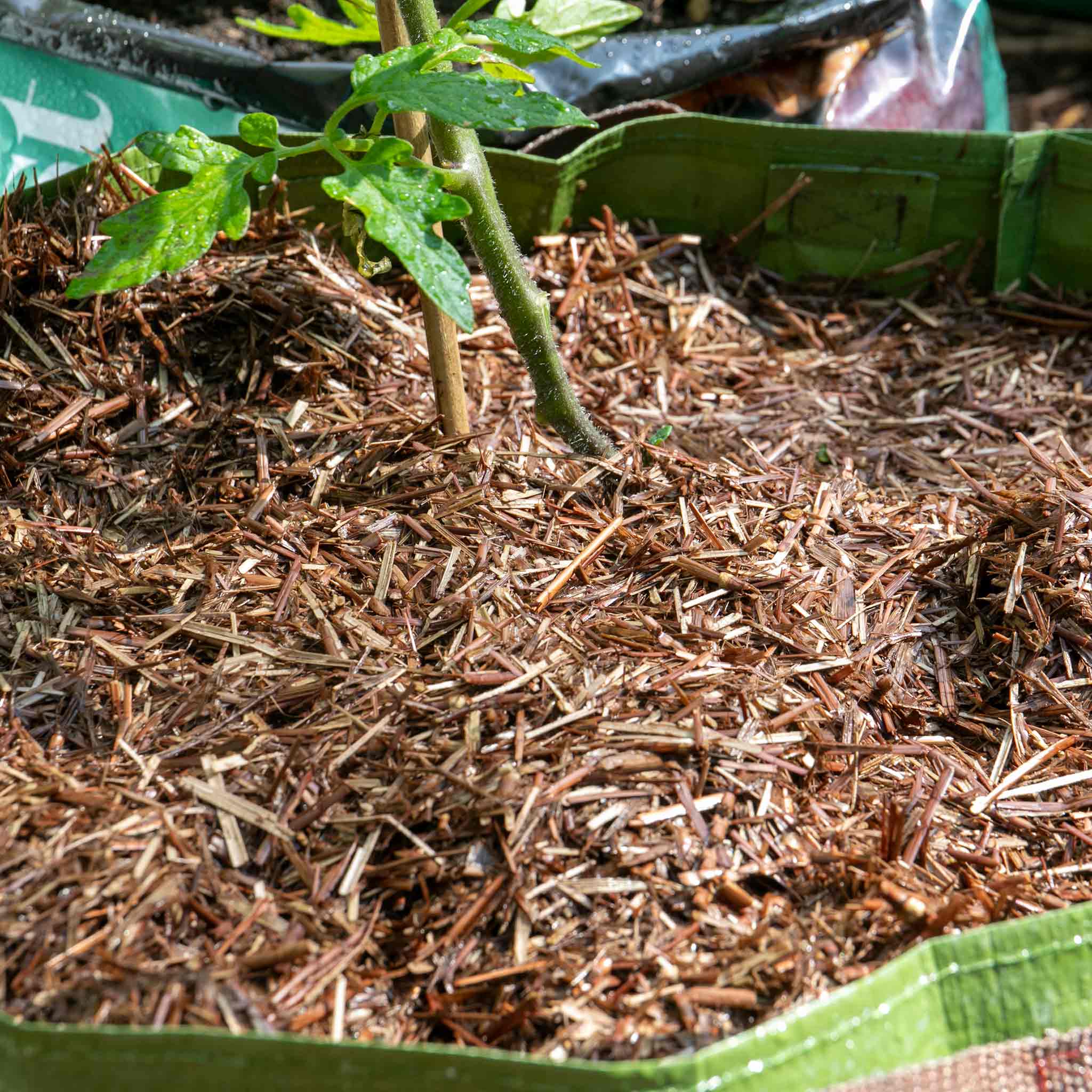 Strulch Organic Wheat Straw Mulch 100L - Image 7