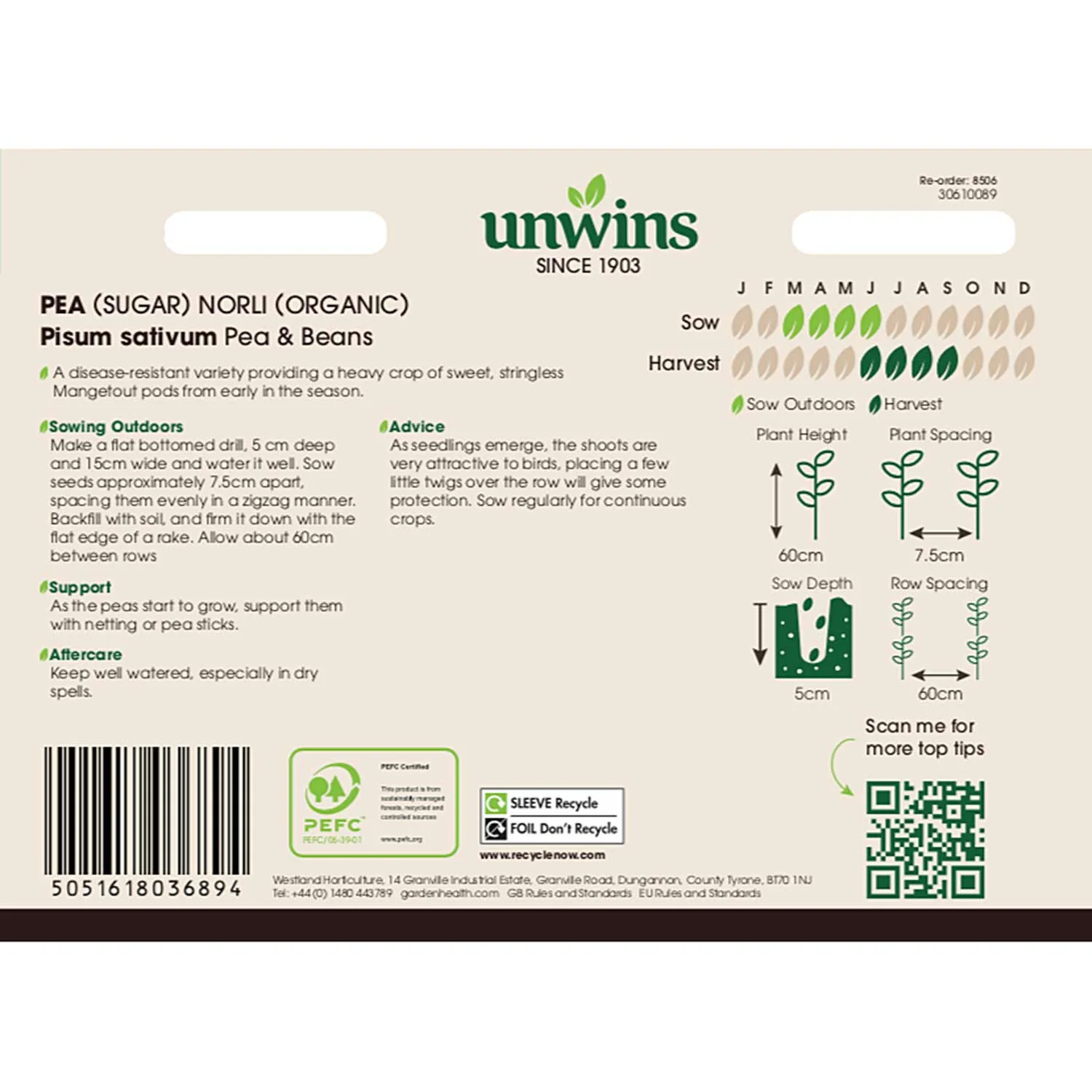Pea Seeds 'Sugar Norli Organic' - Image 3