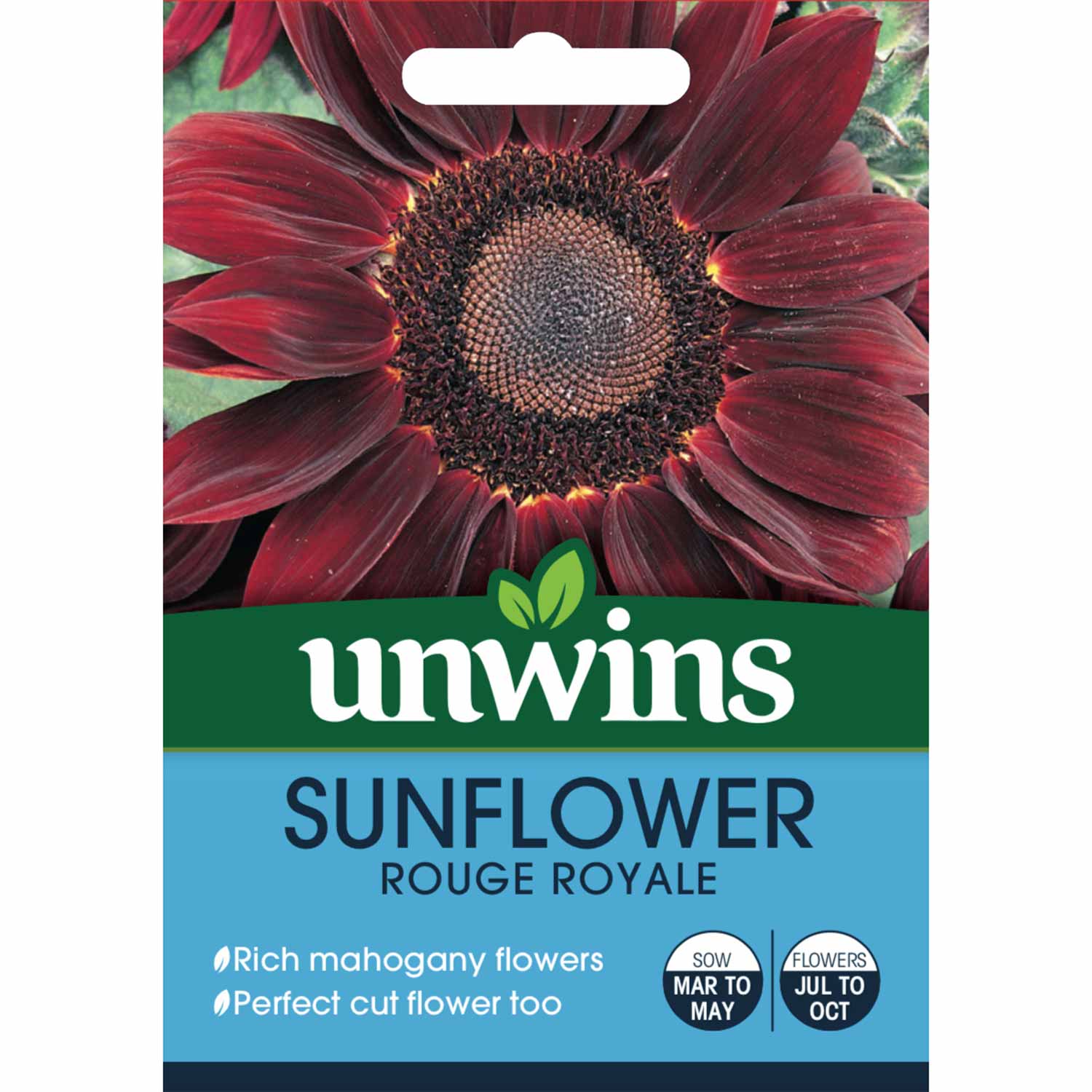 Sunflower Seeds 'Rouge Royale' - Image 3
