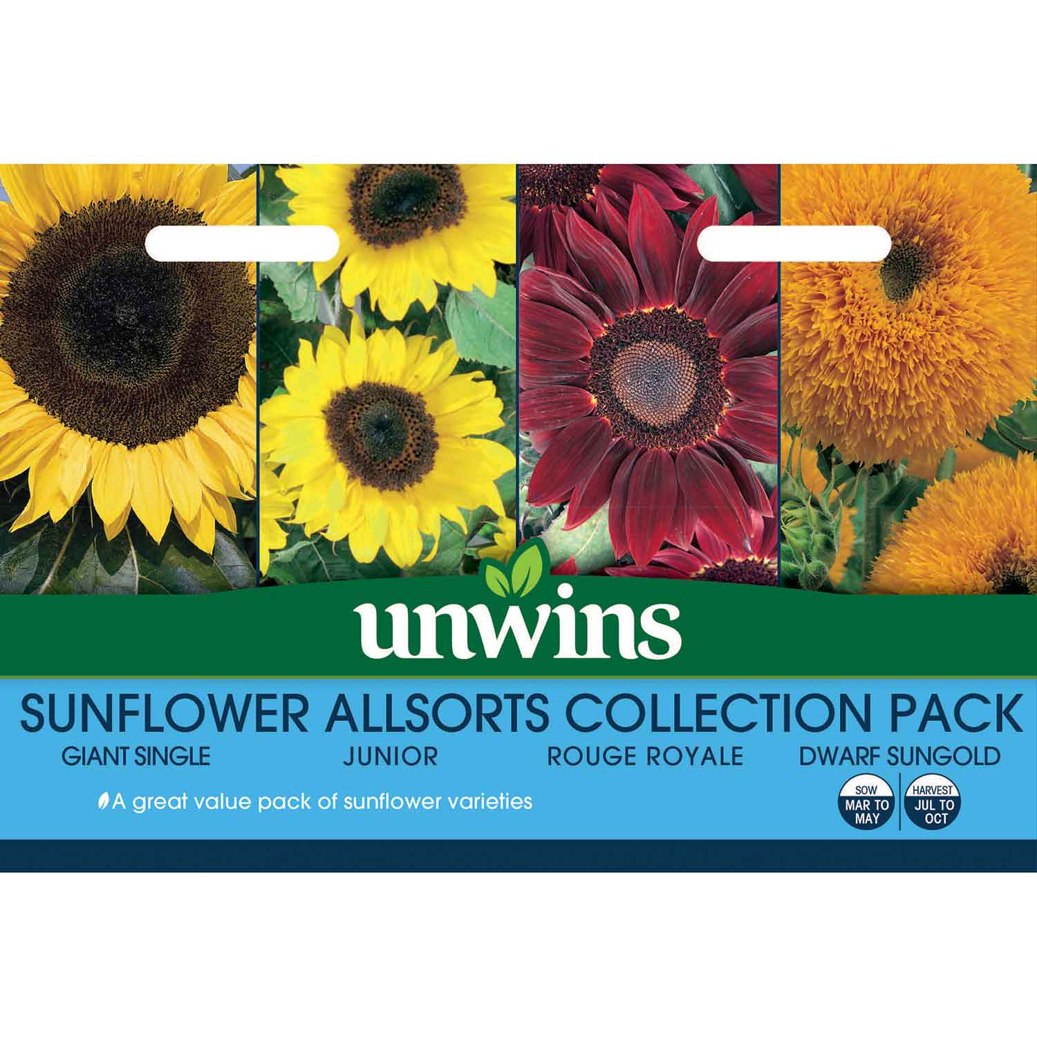 Sunflower Seeds 'Allsorts' 4 in 1 Collection - Image 2