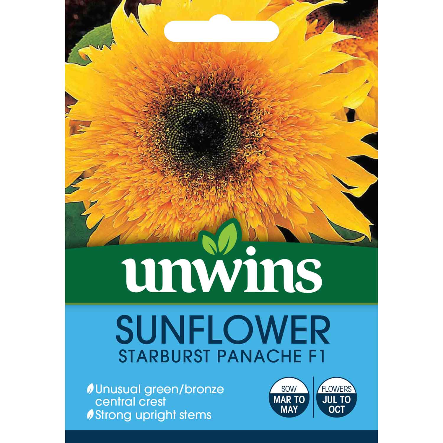 Sunflower Seeds 'Starburst Panache' - Image 2