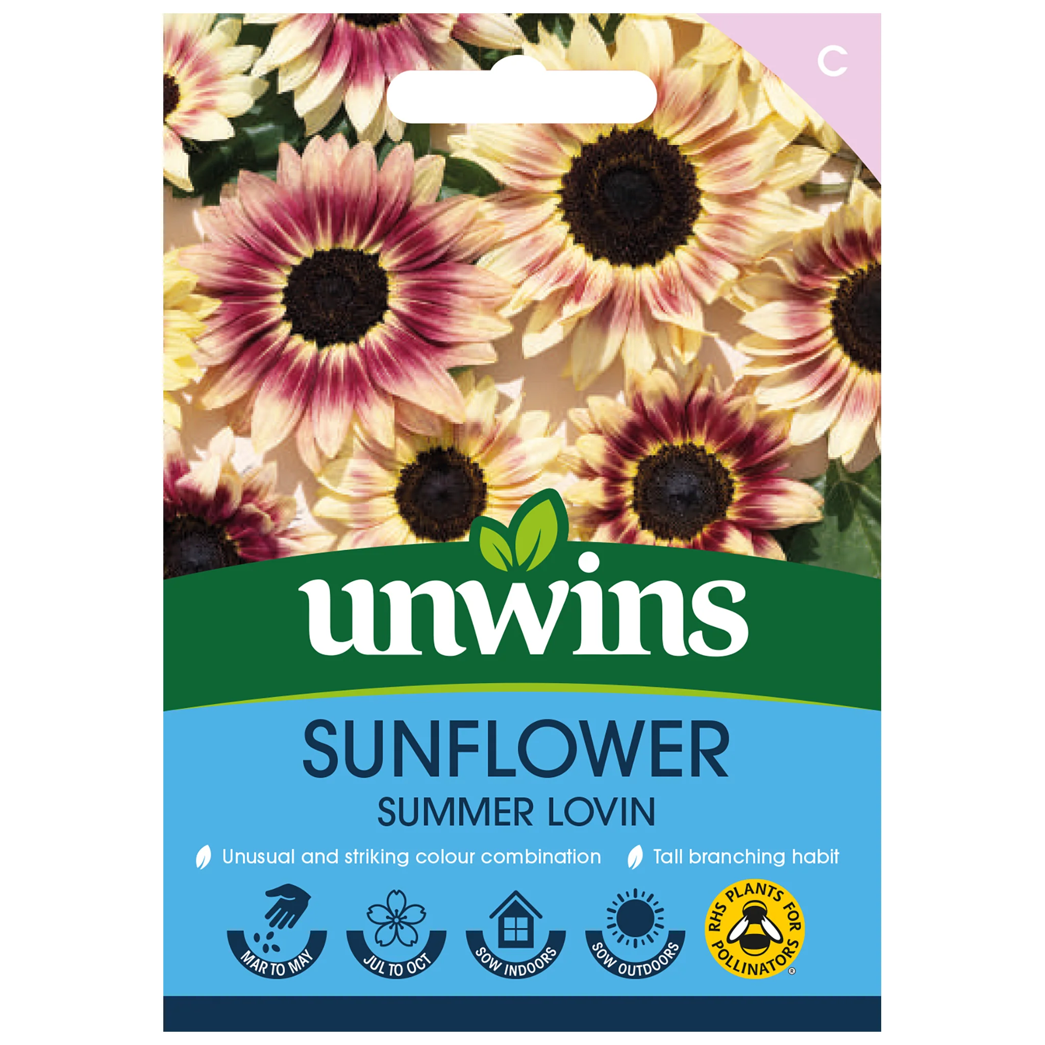 Sunflower Seeds 'Summer Lovin' - Image 3