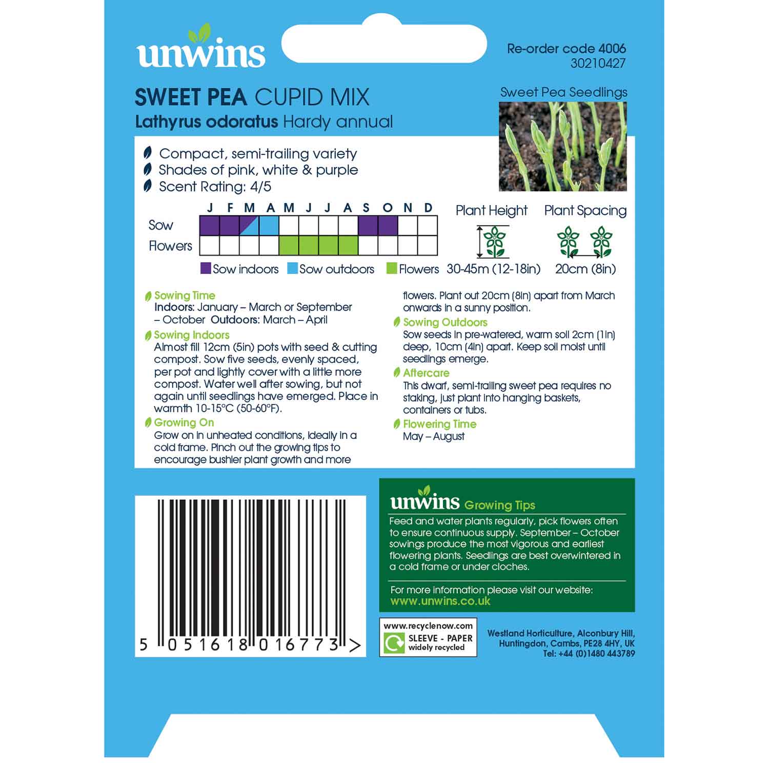 Sweet Pea Seeds 'Cupid Mix' - Image 5