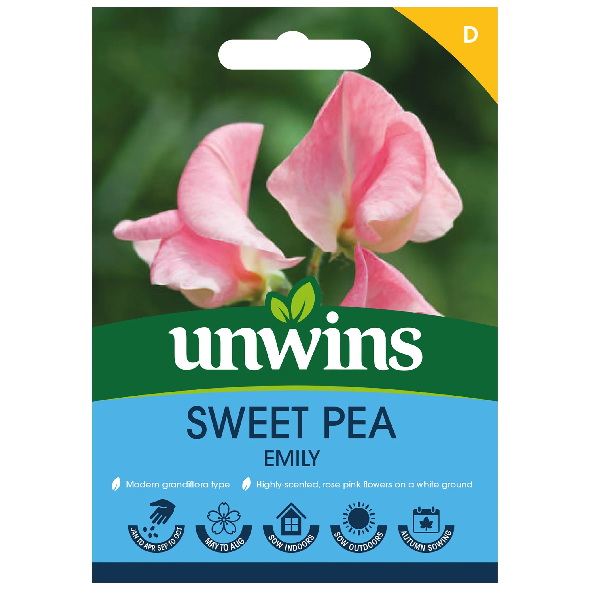 Sweet Pea Seeds 'Emily' - Image 3
