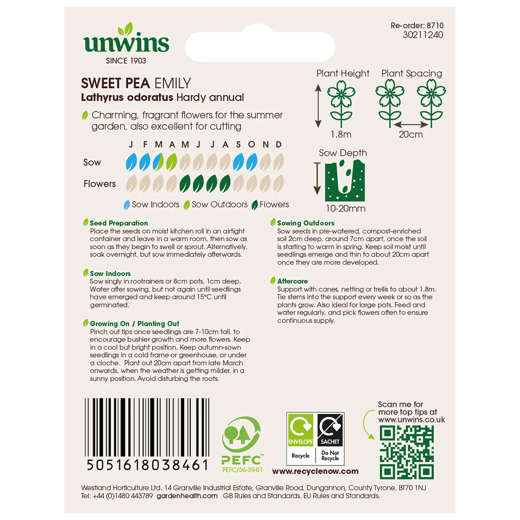Sweet Pea Seeds 'Emily' - Image 4