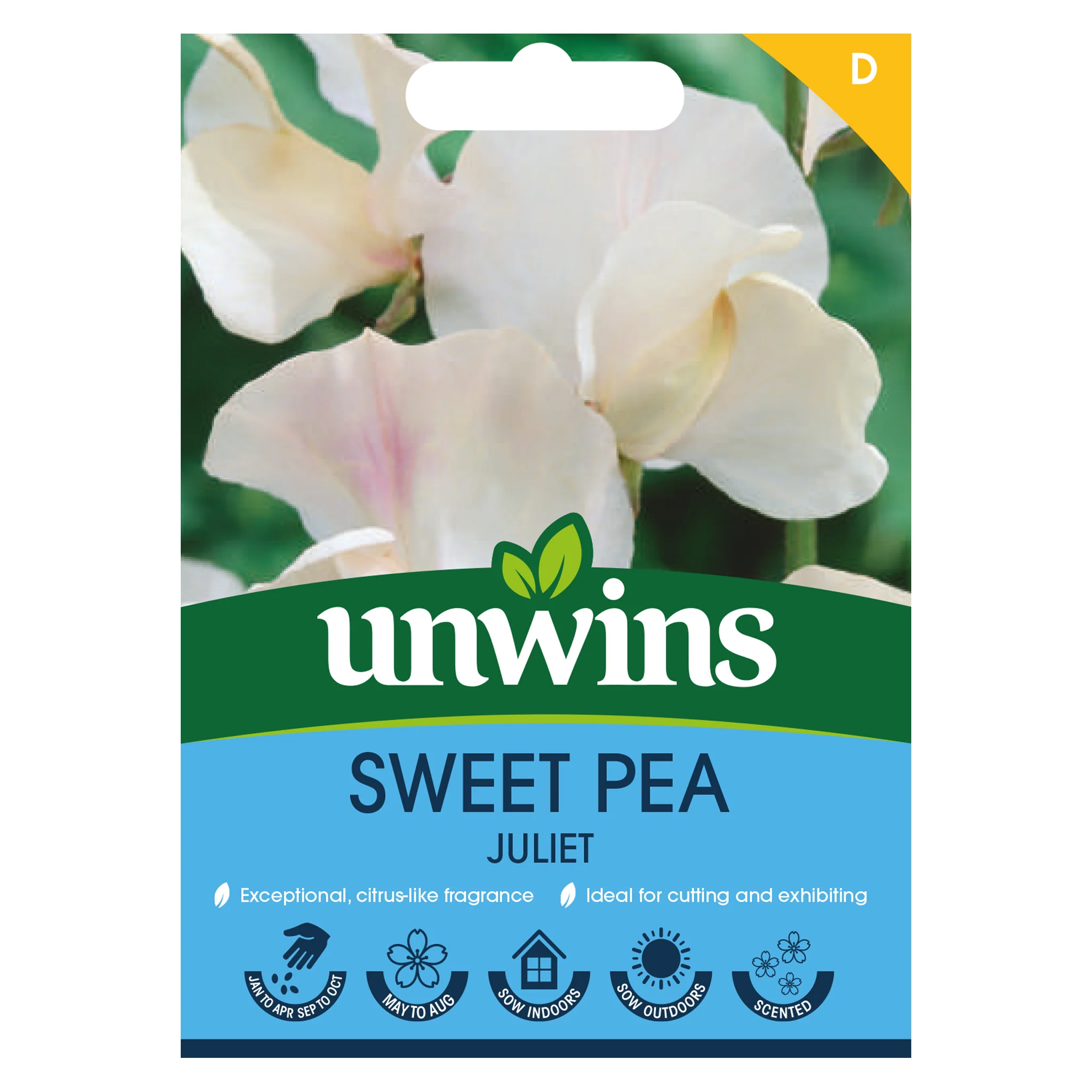 Sweet Pea Seeds 'Juliet' - Image 3
