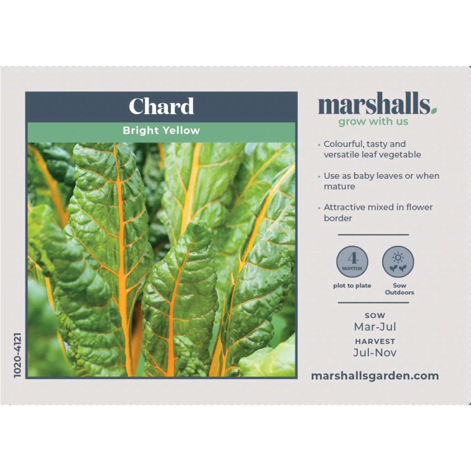 Swiss Chard Seeds 'Bright Yellow' - Image 2