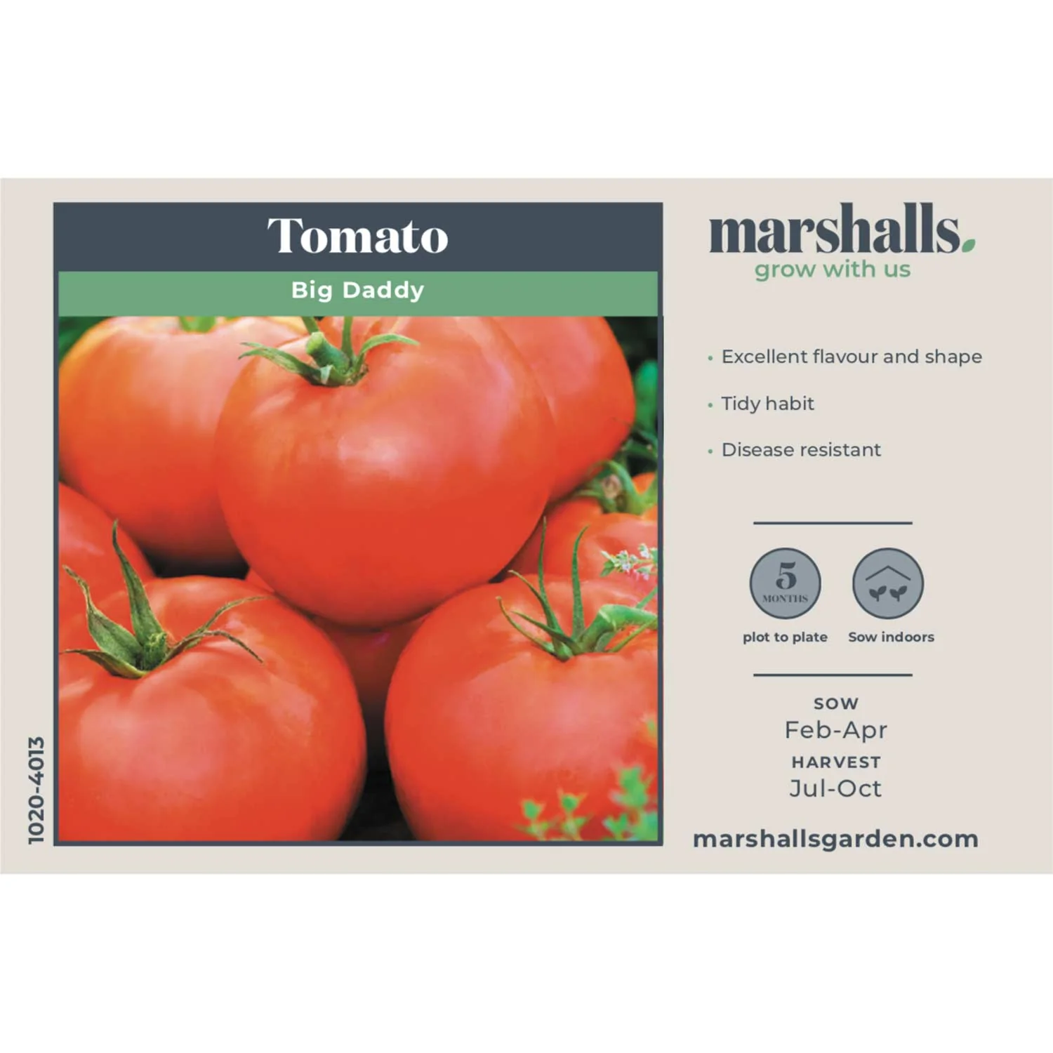 Tomato Seeds 'Big Daddy' - Image 4