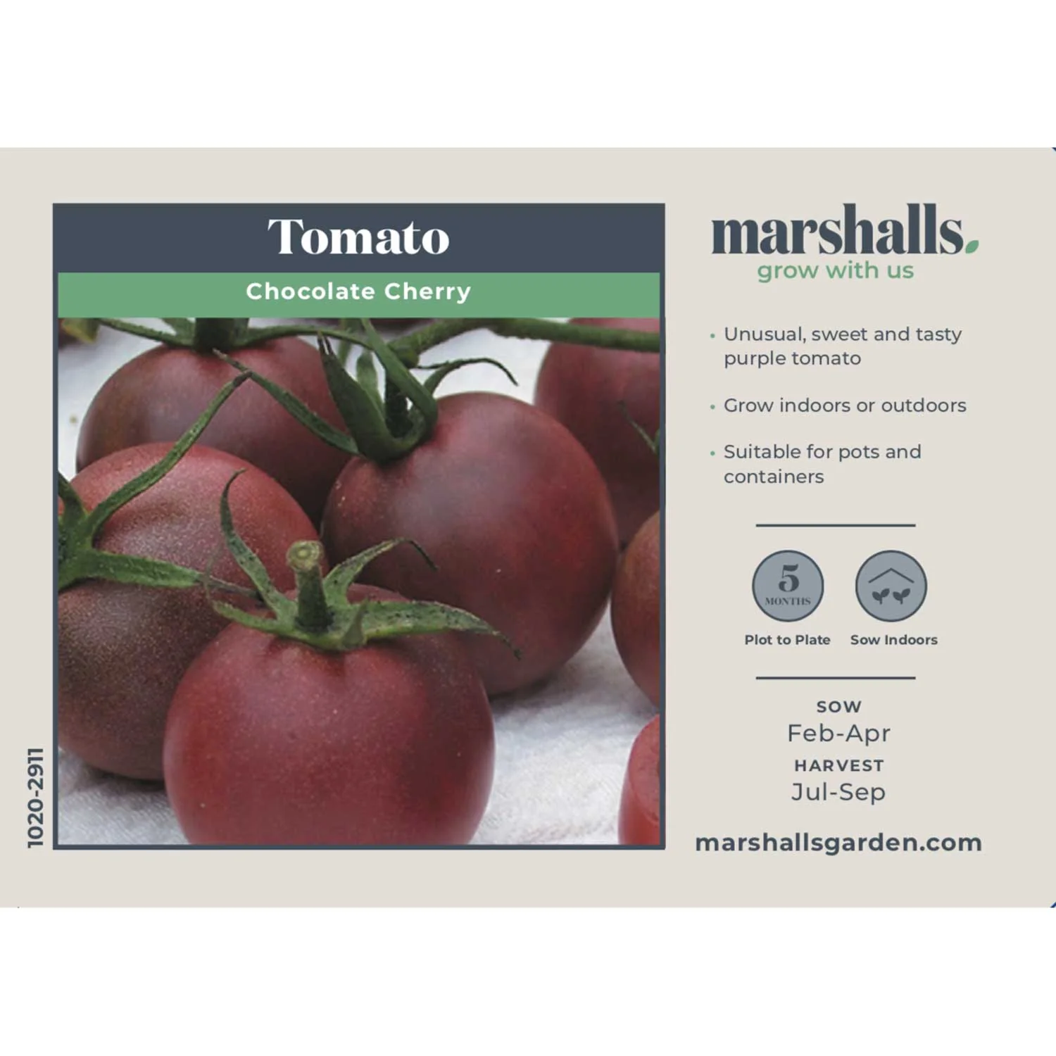 Tomato Seeds 'Chocolate Cherry' - Image 4