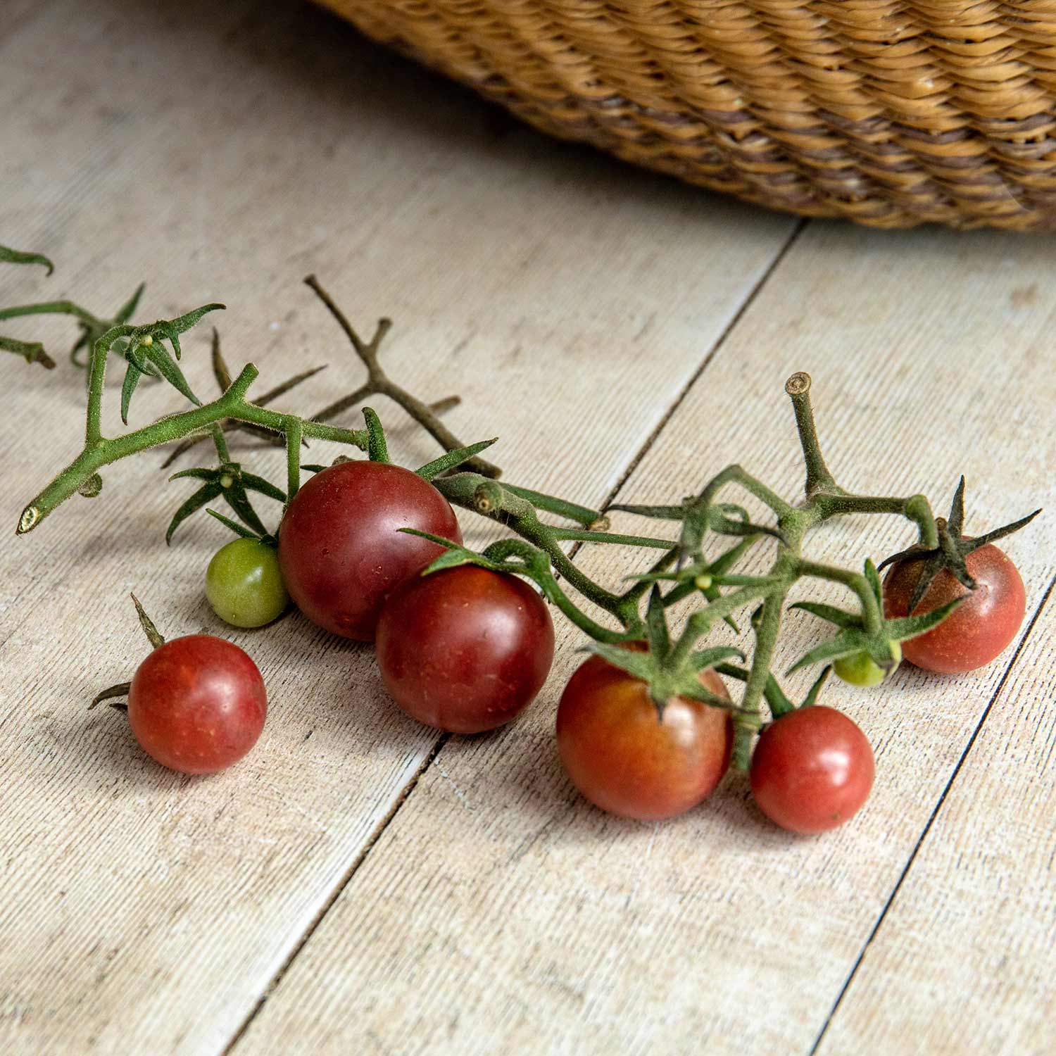 Tomato Seeds 'Chocolate Cherry' - Image 7