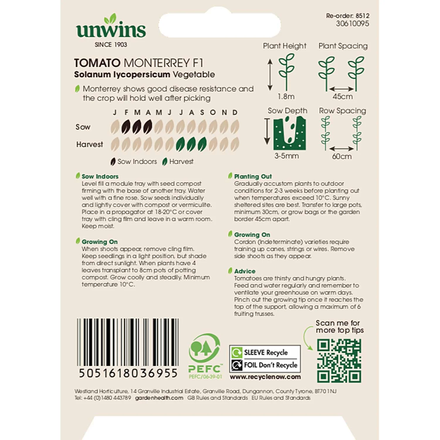 Cordon Tomato Seeds Organic 'Monterrey' F1 - Image 3