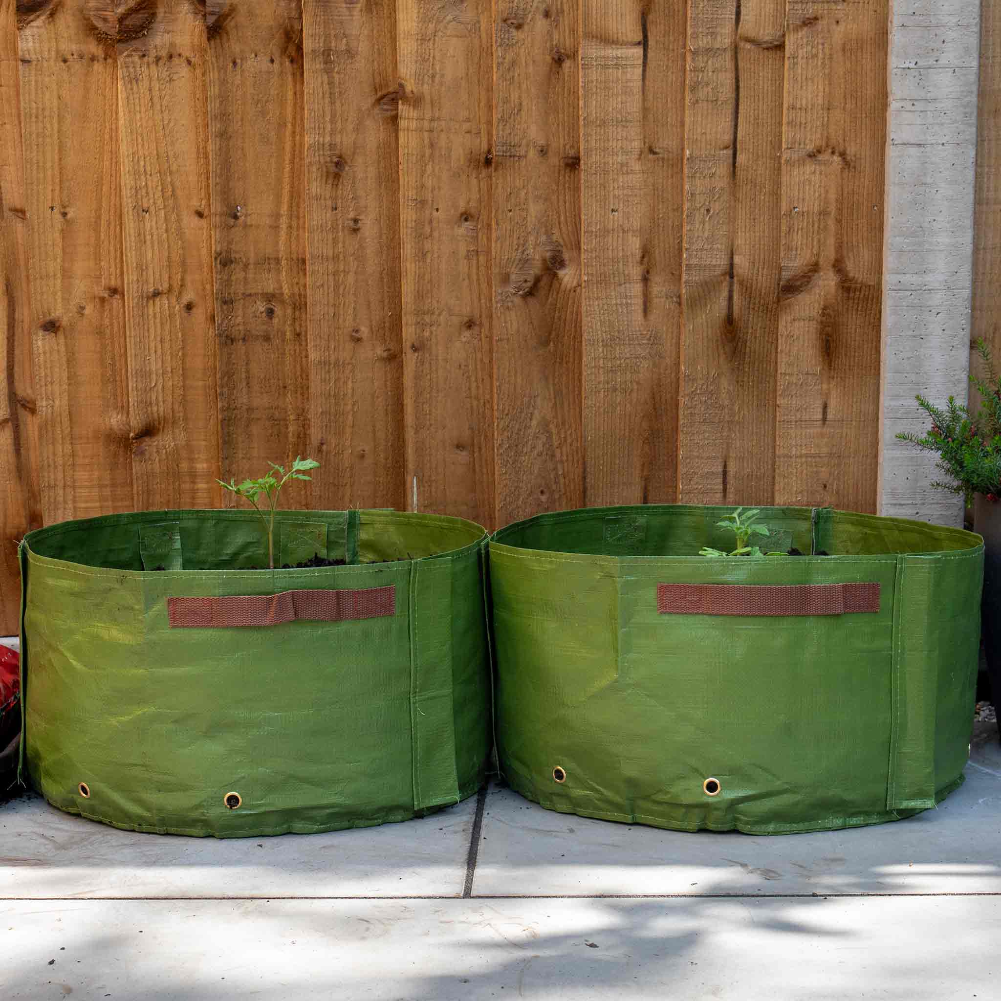 Tomato Patio Planters - Image 4