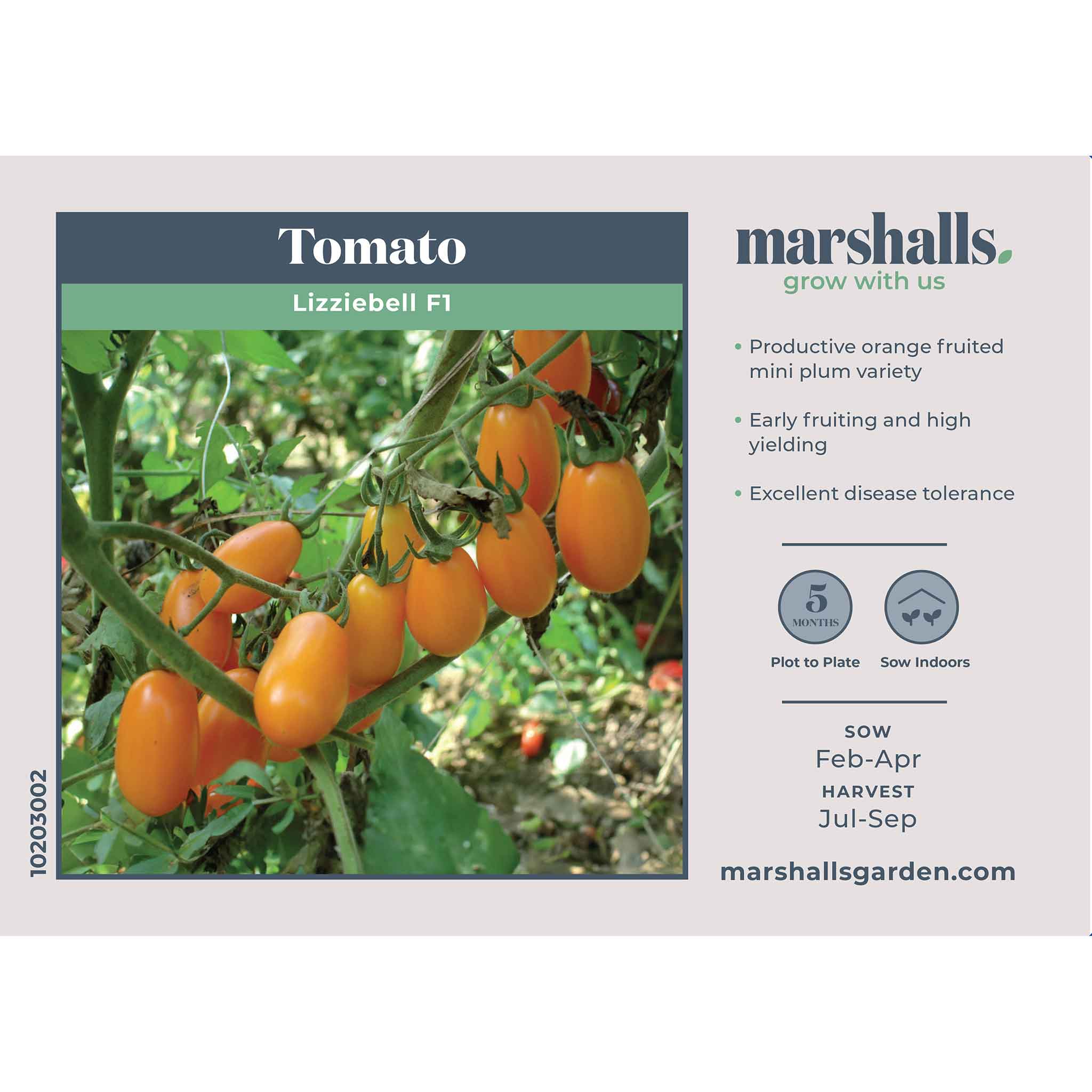 Tomato Seeds 'Lizziebell' - Image 2