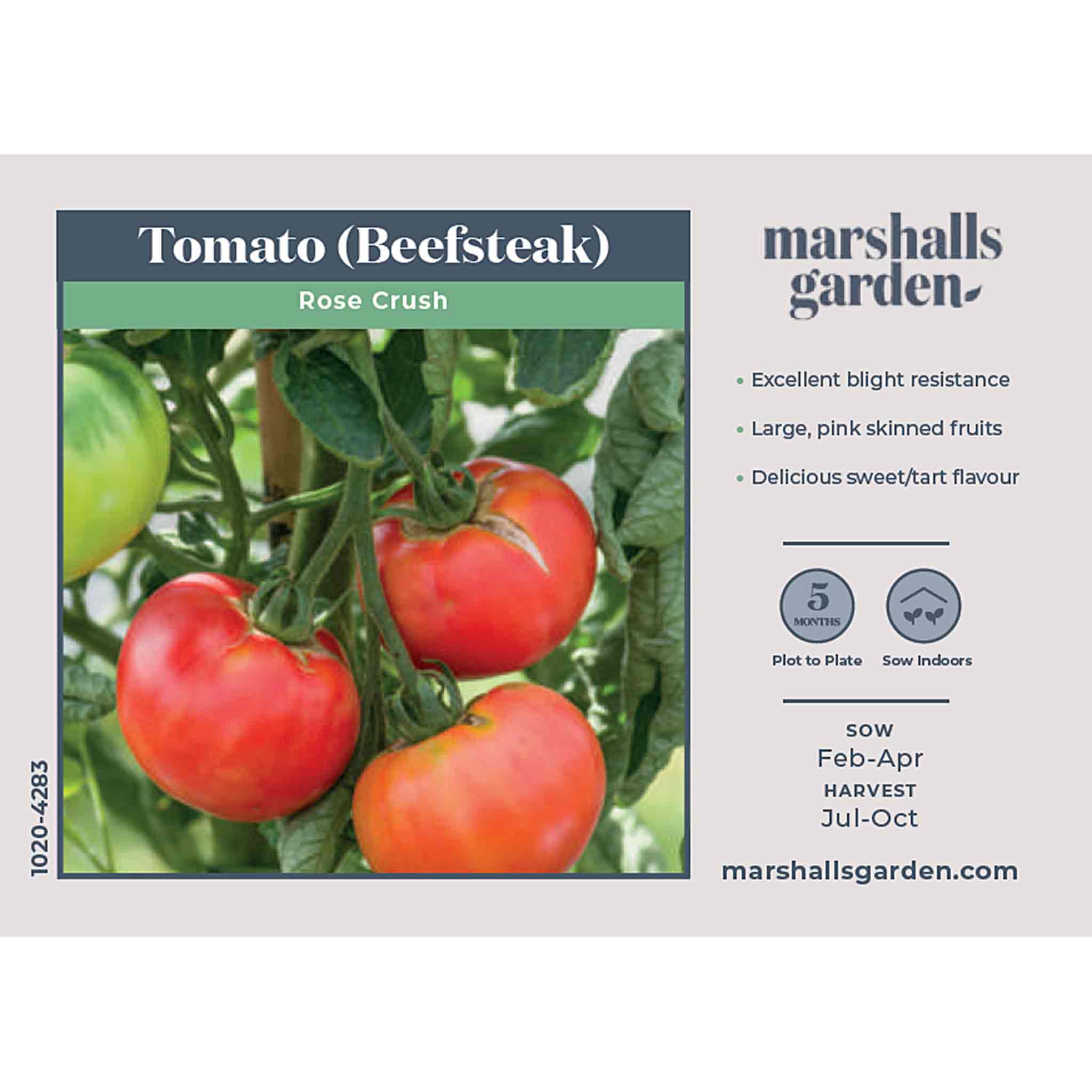 Tomato Seeds 'Rose Crush' - Image 4