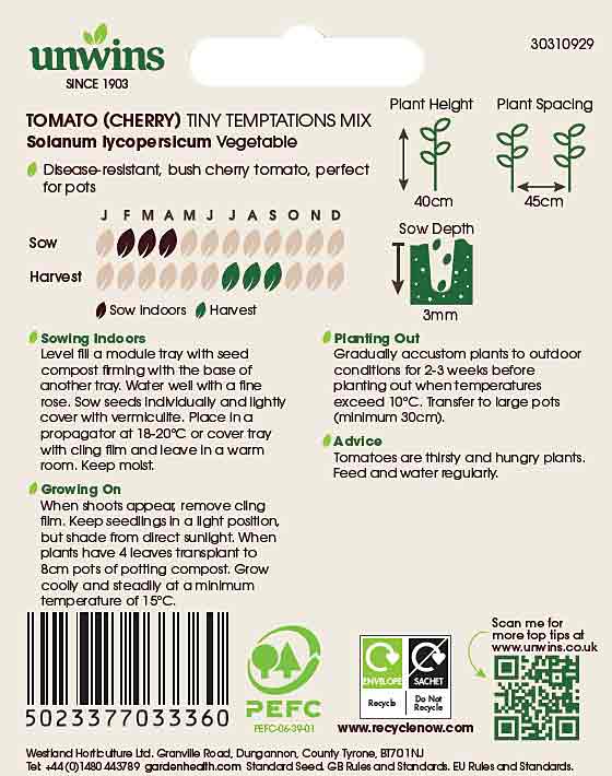 Tomato Seeds 'Tiny Temptations' - Image 4