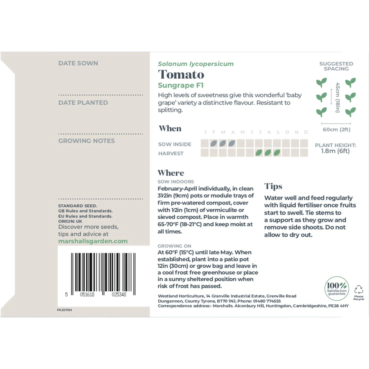 Tomato Seeds 'Sungrape' F1 - Image 3
