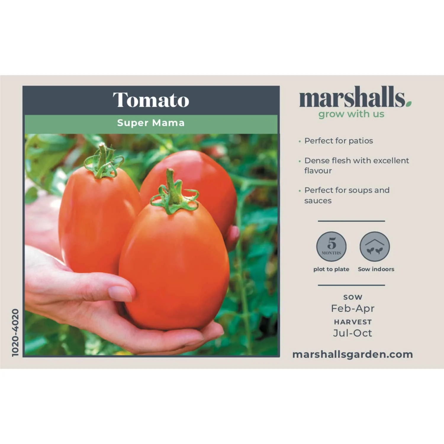 Tomato Seeds 'Super Mama' - Image 2