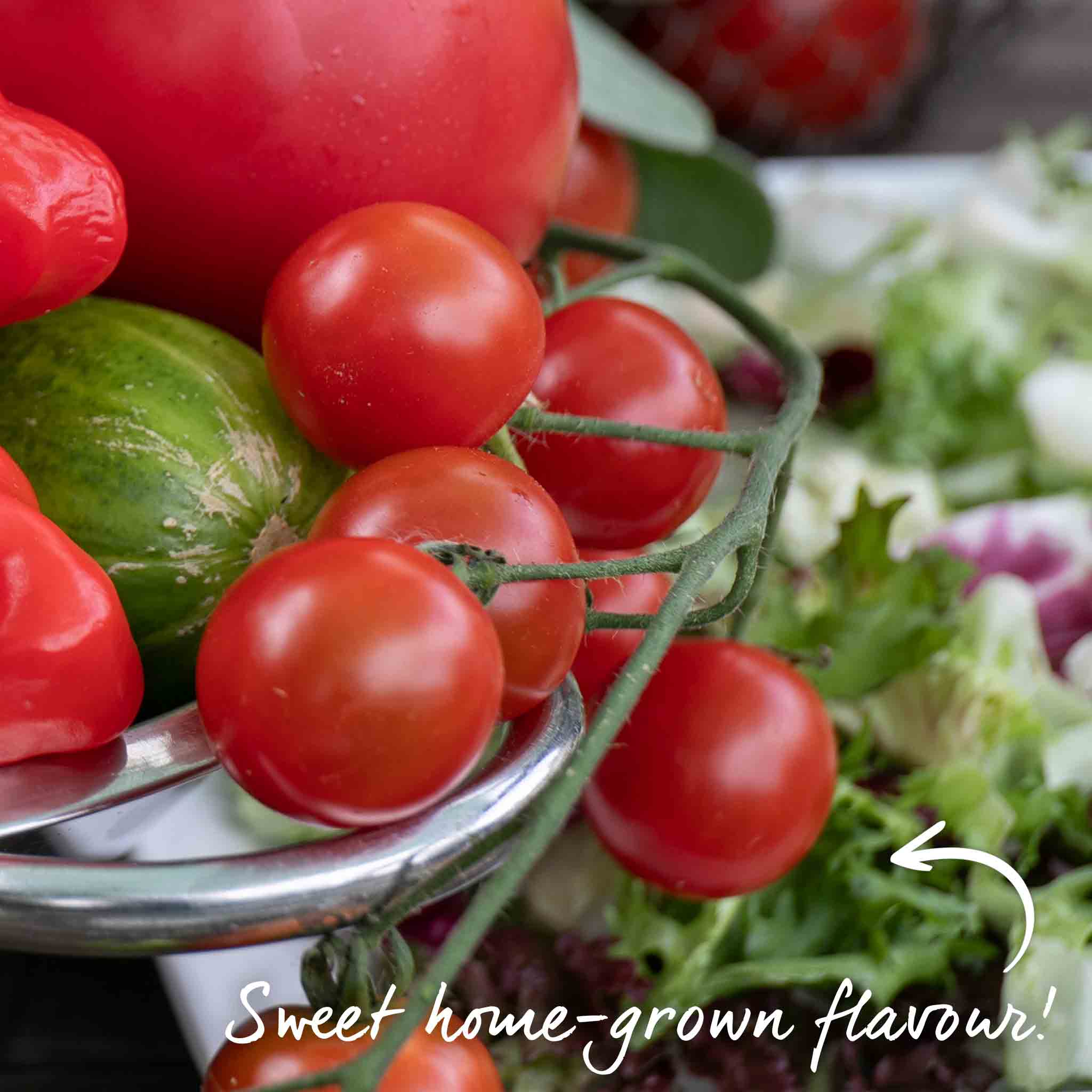 Tomato Seeds 'Sweet Million' F1 - Image 15