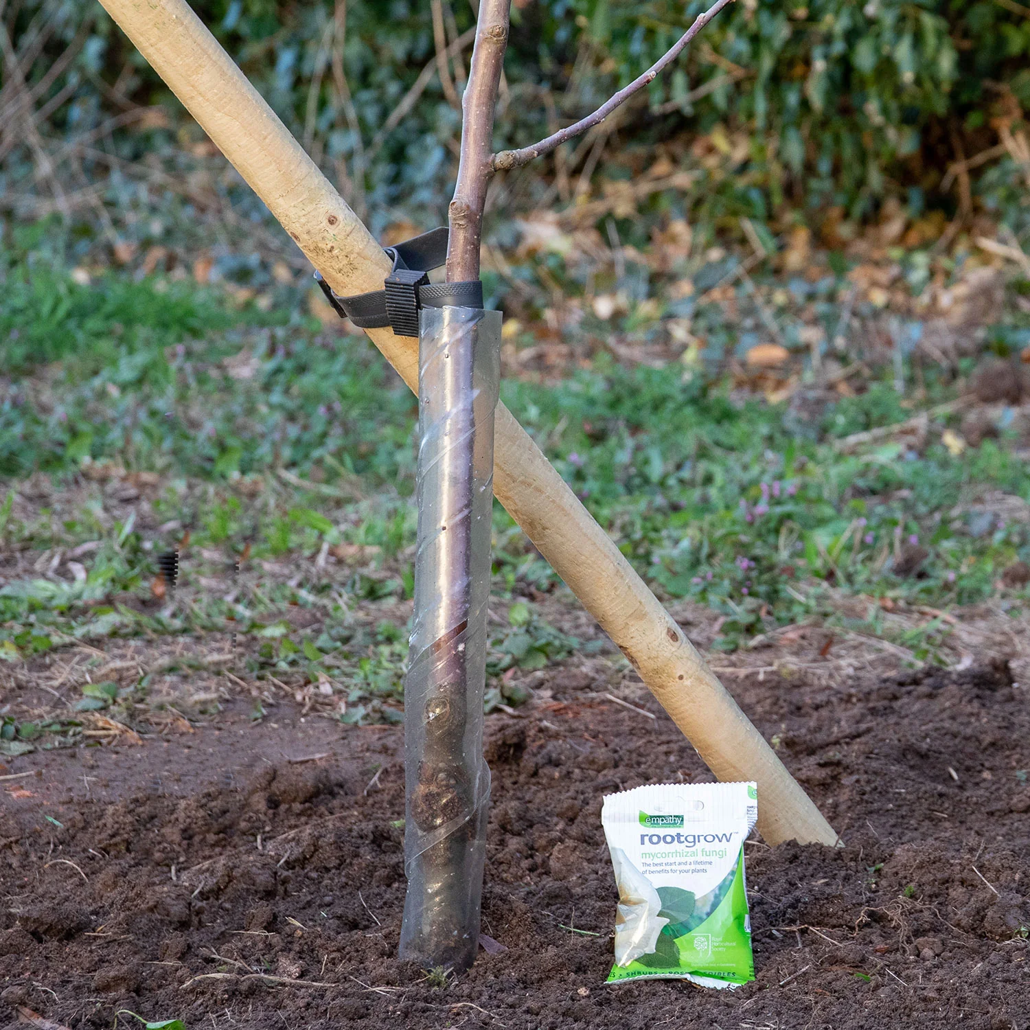 Tree Planting Kit