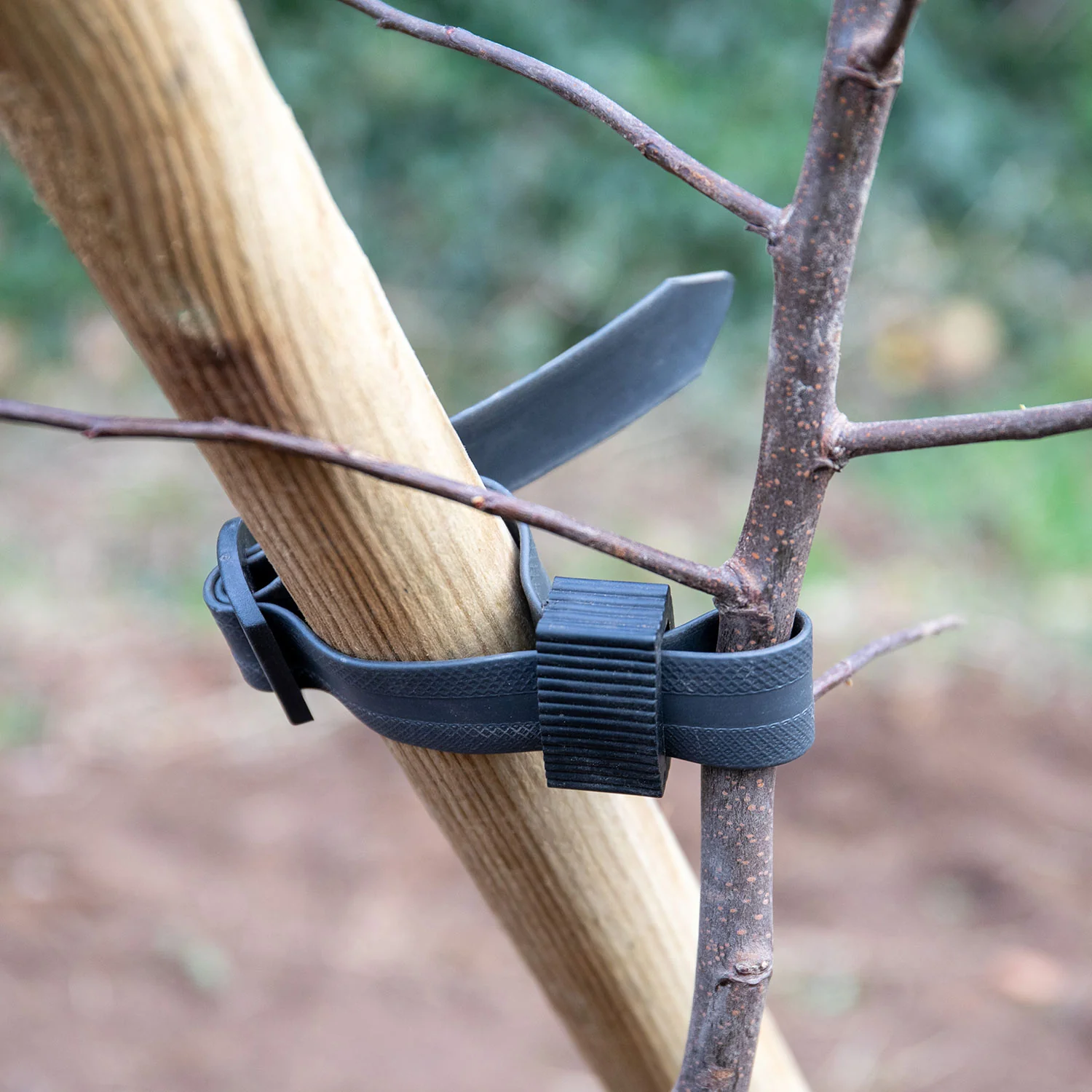 Tree Planting Kit - Image 4