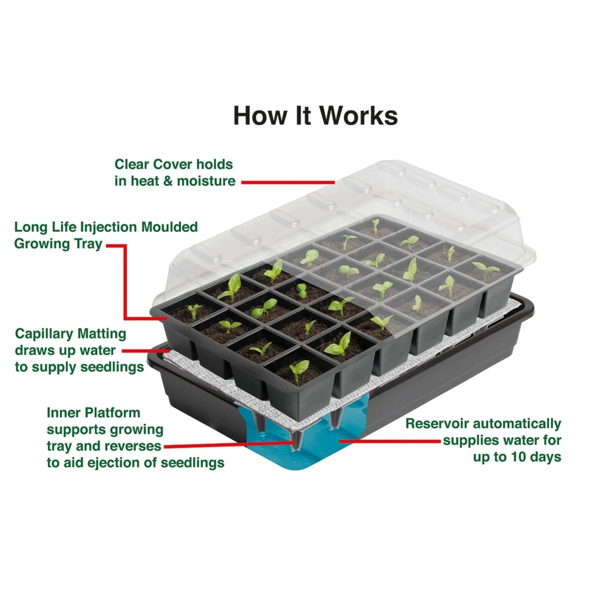 Ultimate Cell Self Watering Seed Success Kit - Image 3