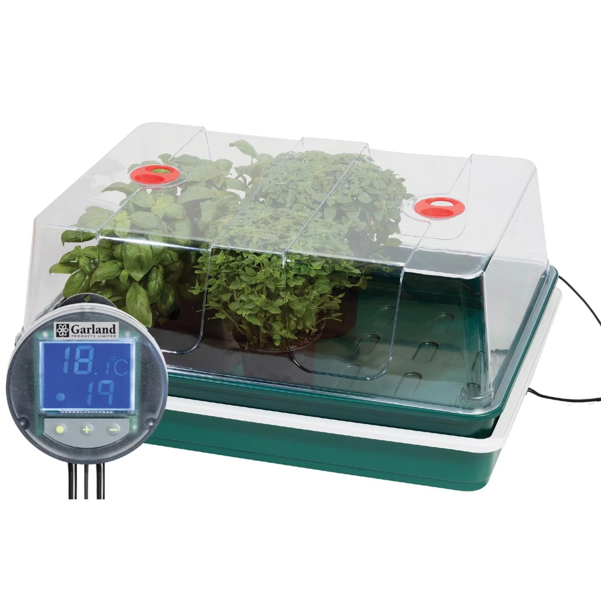 Variable Temperature Control Electric Propagator - Image 2