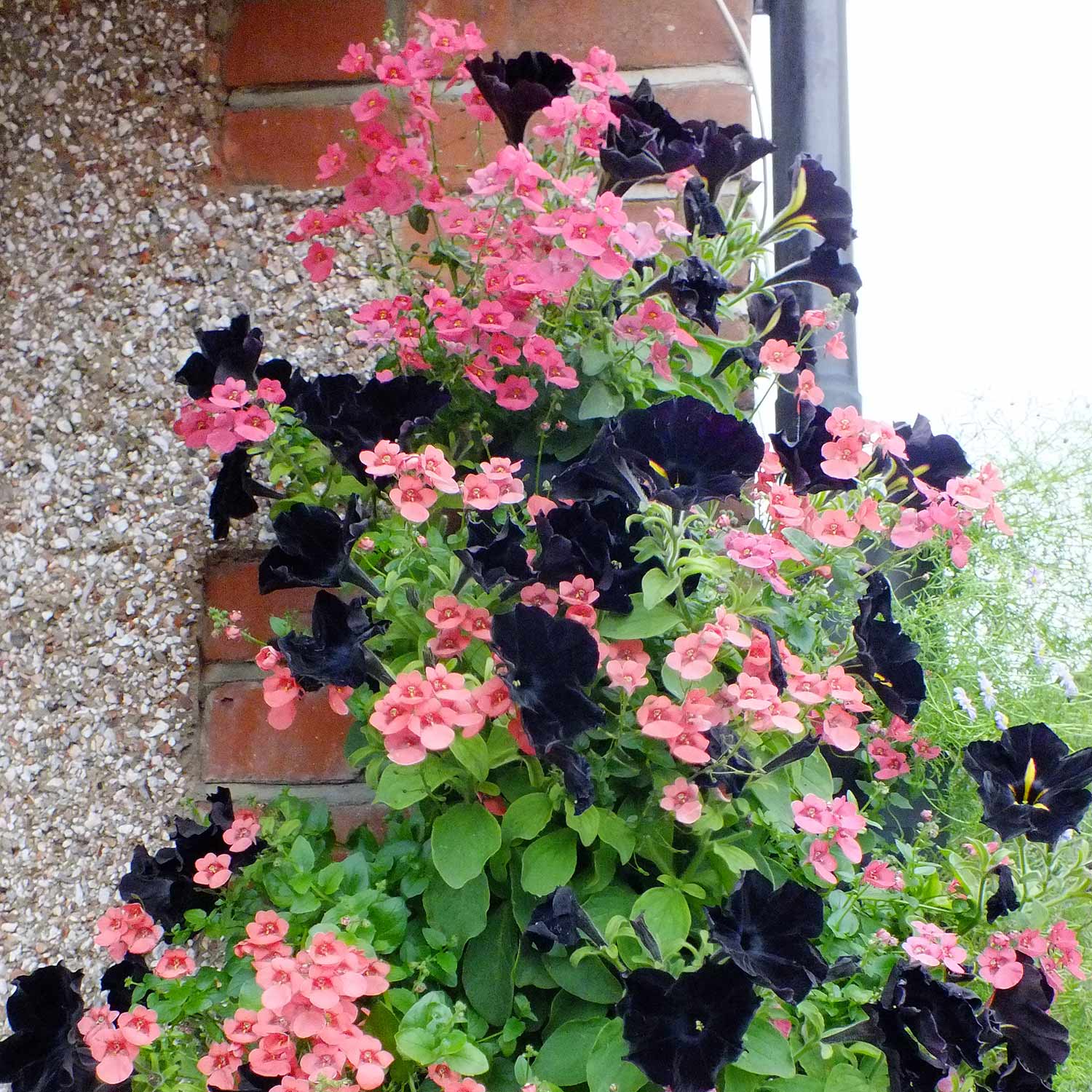 Wall Mounted Flower Tower - Image 4