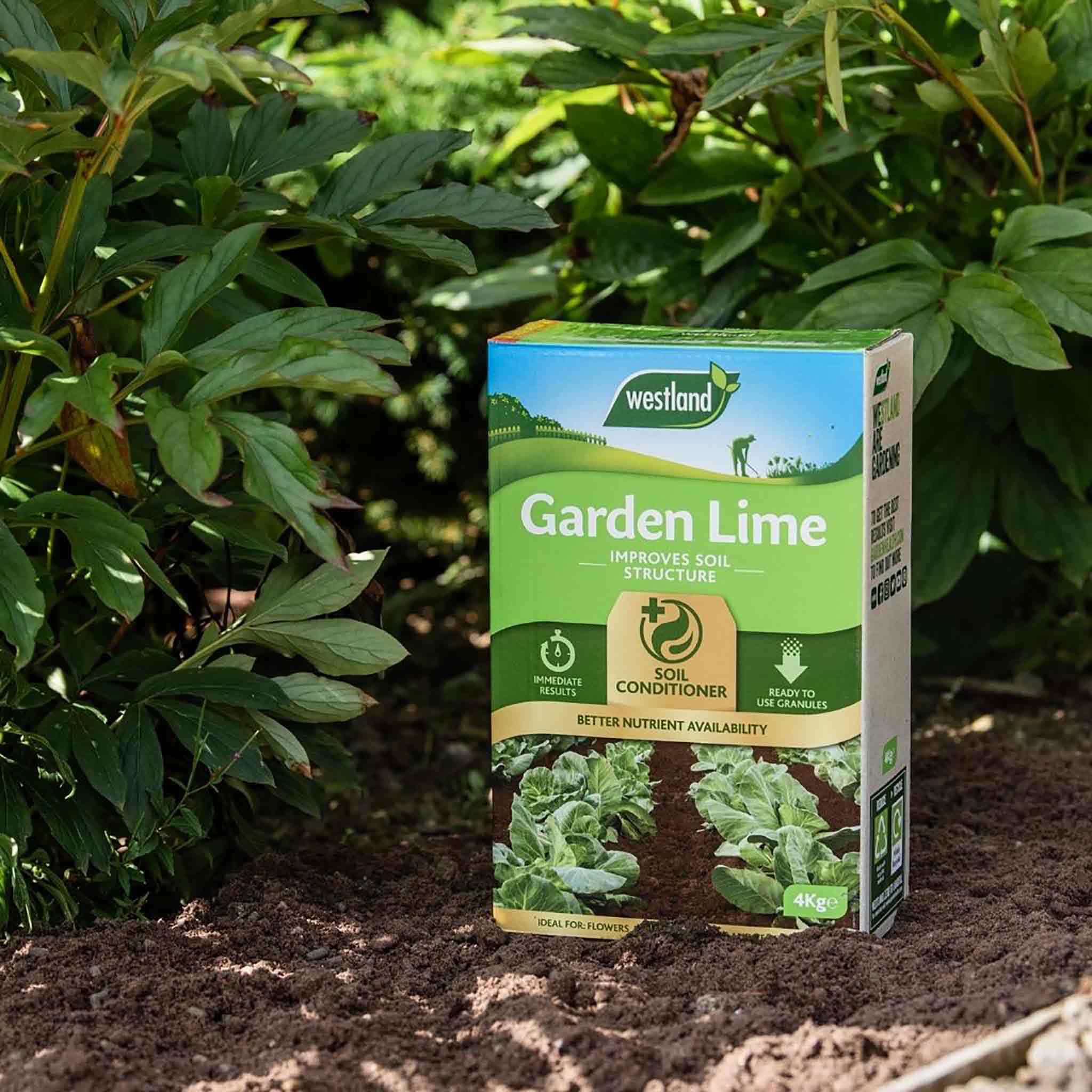 Westland Garden Lime