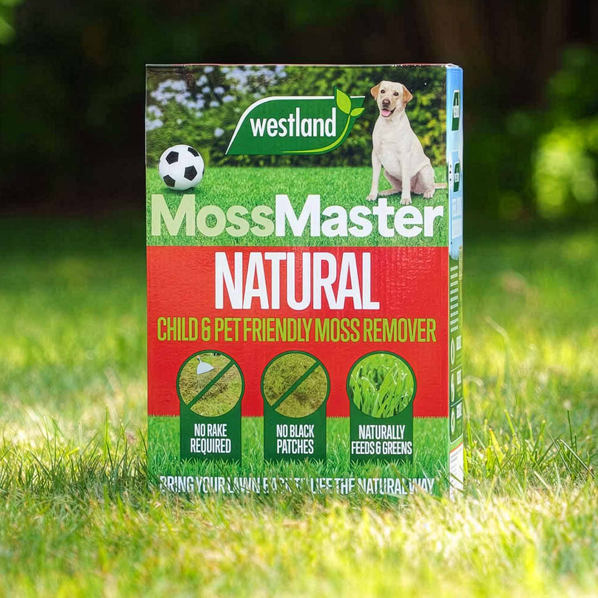Westland Moss Master - Image 4