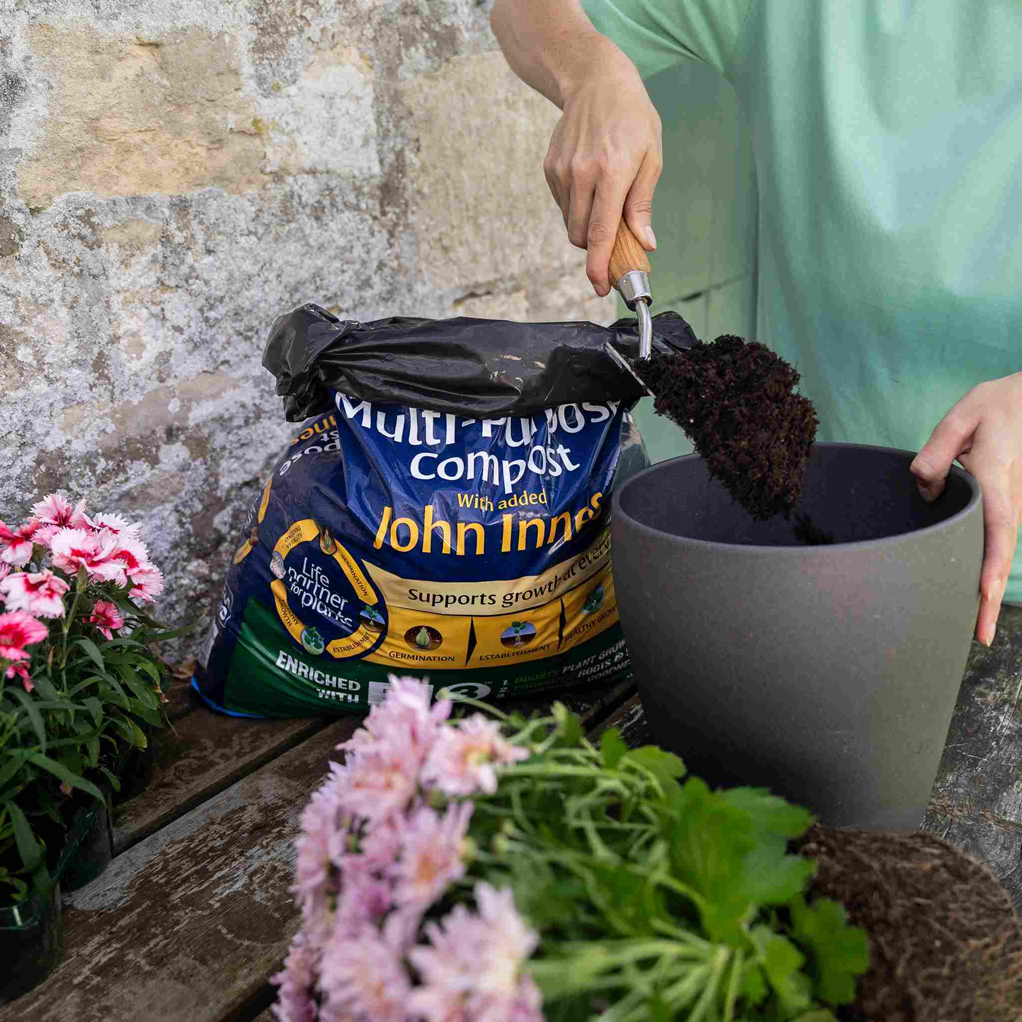 Westland Multi-Purpose Compost with John Innes - Image 3