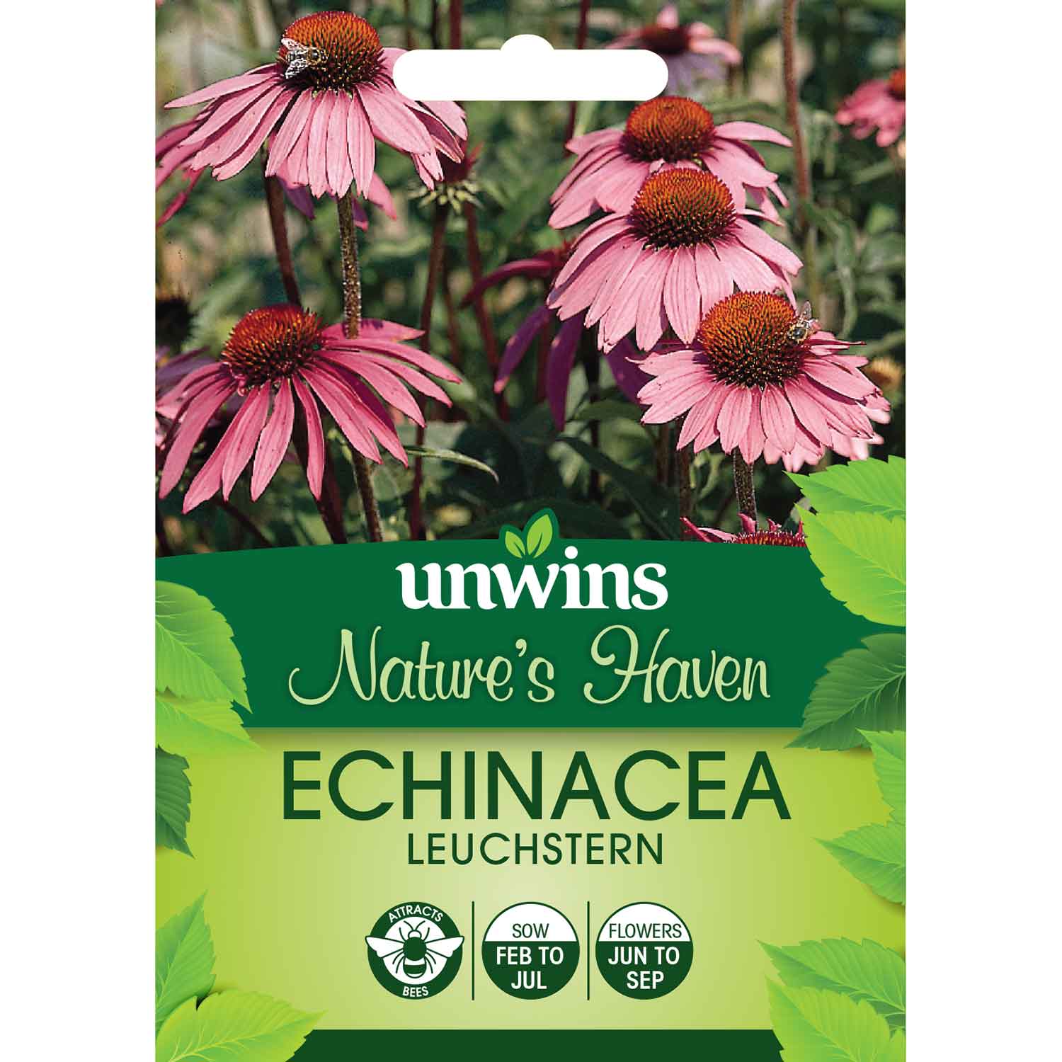 Wildflower Seeds 'Echinacea Purpurea Leuchstern' - Image 2